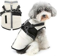 Mejores abrigos de invierno para perros pequeños con problemas de movilidad