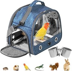 Los mejores accesorios para garantizar la seguridad de tu mascota en el coche