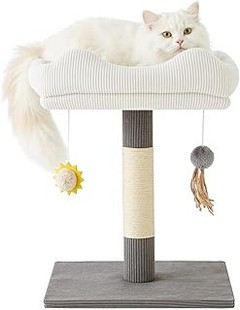 Alternativas eficaces a los árboles para gatos pequeños