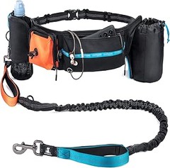 Mejores alternativas a los arneses para practicar canicross