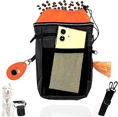 Cómo adaptar el uso de bolsas porta premios para gatos