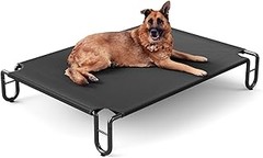 Descubre las mejores alternativas a las camas elevadas para perros