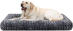 Alternativas a las Camas Tradicionales para Perros Grandes