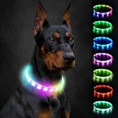 Opciones para mantener a tu perro visible en la oscuridad