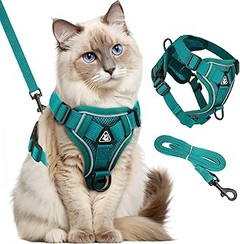 Opciones diferentes a las correas ligeras para pasear a tu gato