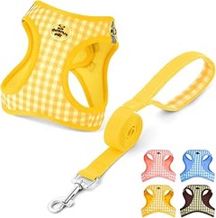 Opciones Efectivas: Alternativas a los Arneses para Perros Pequeños