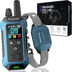 Alternativas efectivas a los collares de adiestramiento para perros