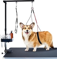 Opciones alternativas a las mesas de peluquería para perros