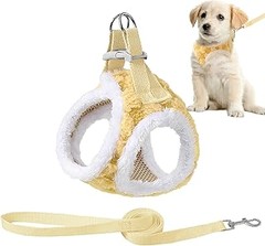 Alternativas al Adiestramiento de Perros Sin Necesidad de Libros