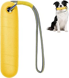 Descubre los beneficios de los juguetes acuáticos para perros