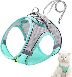 ¿Qué Debe Tener un Arnés para Gatos Escapistas?