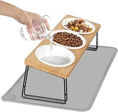 Comederos Elevados Automáticos para Gatos: ¿Valen la Pena?