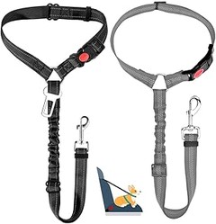 Estrategias para que tu perro se acostumbre al arnés de coche