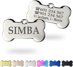 Guía para instalar correctamente un collar con placa identificativa en tu gato