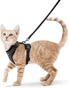Cuidados esenciales para el arnés tipo chaleco de tu gato