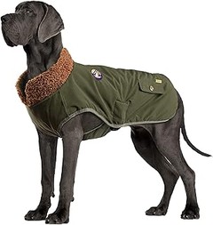 Guía para seleccionar un abrigo de invierno según la actividad de tu perro