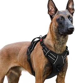 Guía para elegir un arnés antitirones para tu perro