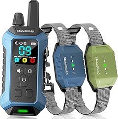 Guía para elegir el collar de adiestramiento adecuado para tu perro