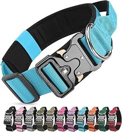 Guía para elegir el collar de nailon adecuado para tu perro