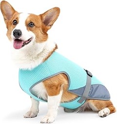 Guía para elegir el mejor chaleco refrigerante para tu perro