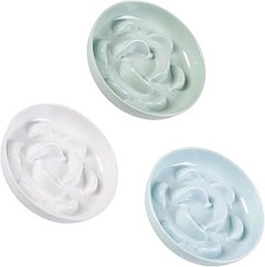 Guía para elegir el comedero antivoracidad ideal para tu gato