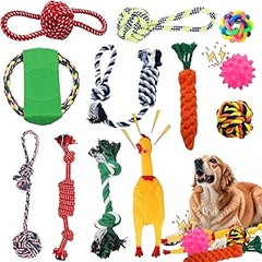 Guía para elegir el mejor pack de juguetes para perros