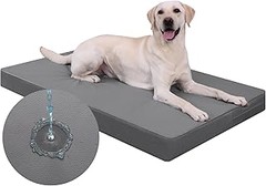 Guía para Elegir la Cama para Perro Fácil de Lavar adecuada