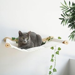Guía Práctica para Instalar una Hamaca de Pared para Gatos