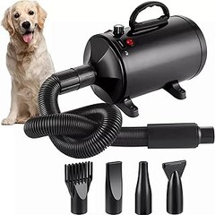 ** Guía para el Mantenimiento y Limpieza de Secadores de Pelo para Perros