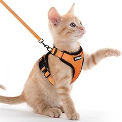 Guía para el cuidado y mantenimiento de arneses para gatos