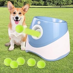 Guía para usar un lanzapelotas automático con tu perro