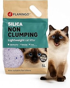 Guía práctica para usar la arena de sílice en gatos