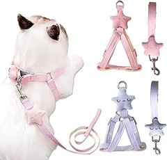 Arneses para viajar con gatos: ¿Con cinturón de seguridad o sin él?