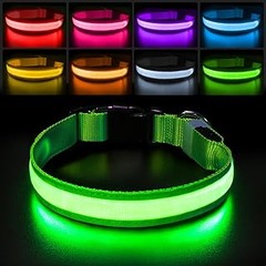 Collar Luminoso o Reflectivo: ¿Cuál es Mejor para Tu Perro?