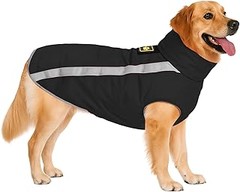 Las mejores marcas de abrigos de invierno para perros medianos y grandes