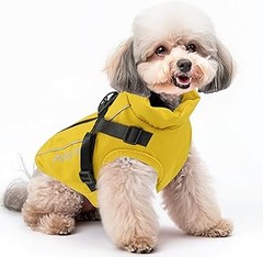 Mejores Abrigos de Invierno para Perros Pequeños: Comparativa de Marcas