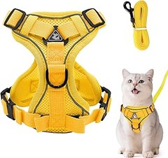 Mejores Arneses con GPS para Gatos: Comparativa y Análisis