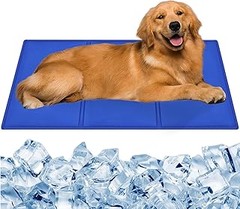 ¿Camas refrescantes o tradicionales para gatos? Comparativa esencial