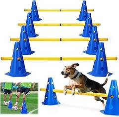 Comparativa de los Mejores Sets de Agility para Perros
