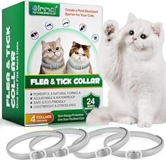 Cómo Usar Collares Antiparasitarios para Gatos Junto a Otros Tratamientos