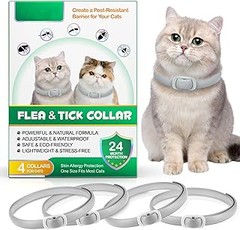 ¿Qué Pasa Si Mi Gato No Usa un Collar Antiparasitario?