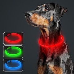 Cómo usar y cuidar los collares luminosos para perros