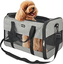 Consejos para asegurar un viaje cómodo con tu mascota en transportines homologados