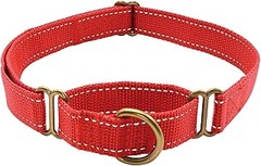 Cómo Cuidar y Mantener Collares de Nailon para Perros