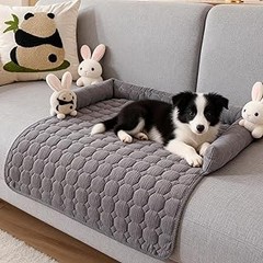 Camas tipo sofá vs. camas ortopédicas para perros: ¿cuál elegir?