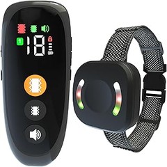 Comparativa entre collares de vibración, sonido y de castigo para perros