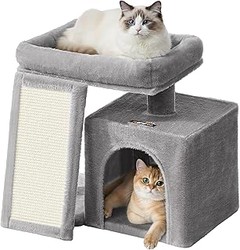 ¿Dónde encontrar árboles para gatos pequeños?