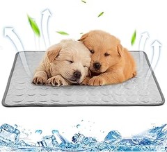 Guía para comprar camas refrescantes para gatos