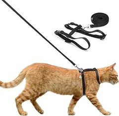 Las mejores tiendas para comprar correas ligeras para gatos