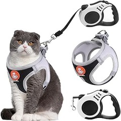 Mejores tiendas online para comprar packs de arnés y correa para gatos